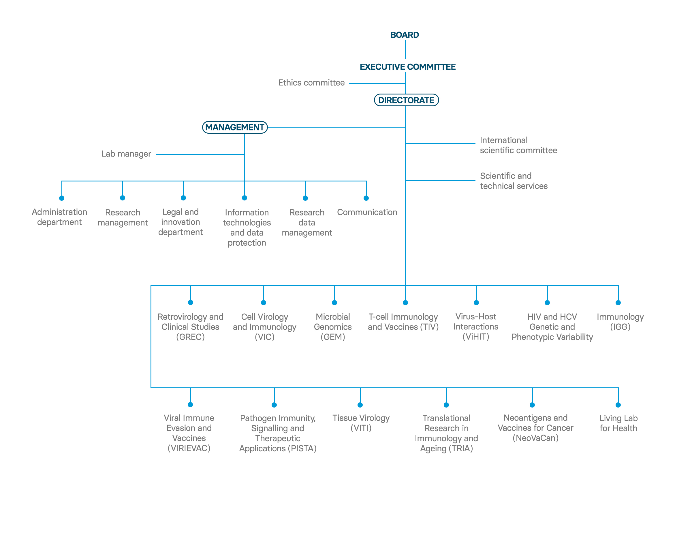 Organigram IrsiCaixa